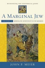 Marginal Jew: Rethinking the Historical Jesus, Volume V