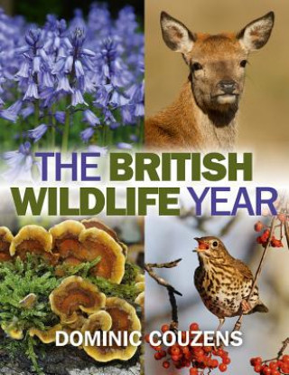 British Wildlife Year