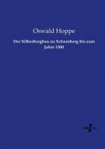 Silberbergbau zu Schneeberg bis zum Jahre 1500