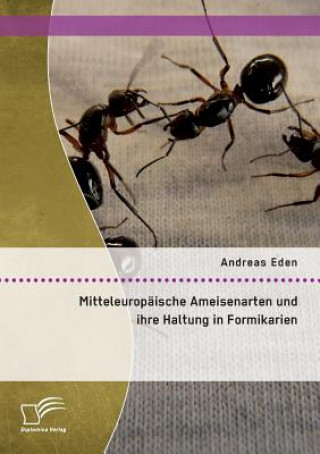 Mitteleuropaische Ameisenarten und ihre Haltung in Formikarien
