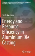 Energy and Resource Efficiency in Aluminium Die Casting