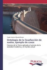 Ontologia de la licuefaccion de suelos, ejemplo de casos