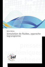 Simulation de Fluides, Approche Lagrangienne