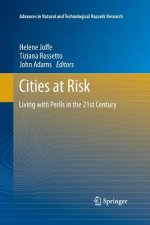 Cities at Risk