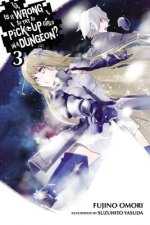 Is It Wrong to Try to Pick Up Girls in a Dungeon?, Vol. 3 (light novel)