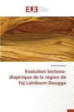 Evolution Tectono-Diapirique de la Region de Fej Lahdoum-Dougga