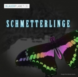 Blauer Planet: Schmetterlinge, 1 Audio-CD