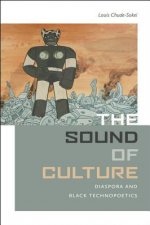 Sound of Culture