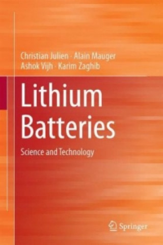 Lithium Batteries (Christian Julien,Alain Mauger,Ashok Vijh,Karim Zaghib)()
