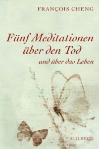 Fünf Meditationen über den Tod