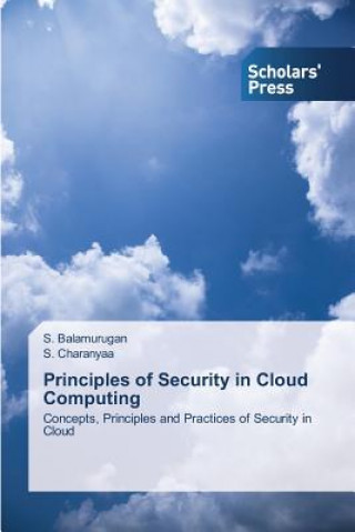 Principles of Security in Cloud Computing