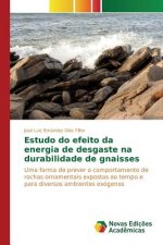 Estudo do efeito da energia de desgaste na durabilidade de gnaisses