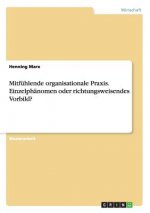 Mitfuhlende organisationale Praxis. Einzelphanomen oder richtungsweisendes Vorbild?