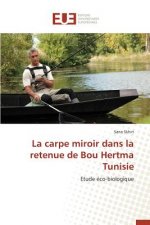 Carpe Miroir Dans La Retenue de Bou Hertma Tunisie