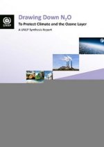Drawing down N2O to protect climate and the ozone layer