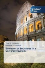 Evolution of Structures in a University System