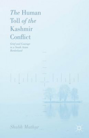 Human Toll of the Kashmir Conflict