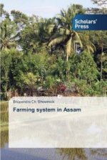 Farming system in Assam