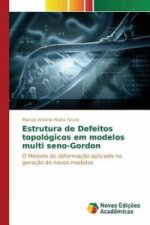 Estrutura de defeitos topologicos em modelos multi seno-Gordon