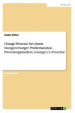 Change-Prozesse bei einem Energieversorger. Problemanalyse, Prozessorganisation, Loesungen, U-Prozedur