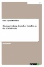 Bindungswirkung deutscher Gerichte an die EGMR-Urteile