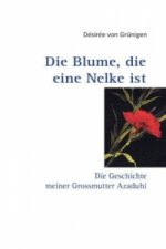 Blume, die eine Nelke ist