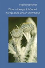 Distel - dornige Schoenheit