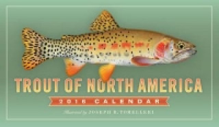 Trout of North America Wall Calendar