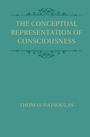 Conceptual Representation of Consciousness