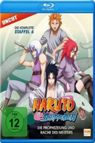 Naruto Shippuden - Die Prophezeiung und Rache des Meisters, Uncut. Staffel.6, 1 Blu-ray