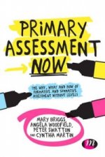 Primary Assessment Now