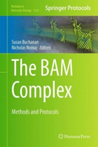 BAM Complex