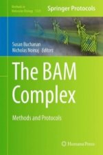BAM Complex