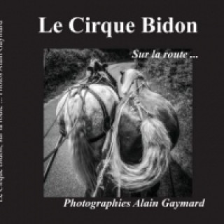 Le cirque Bidon