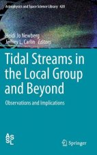 Tidal Streams in the Local Group and Beyond