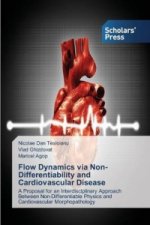 Flow Dynamics via Non-Differentiability and Cardiovascular Disease