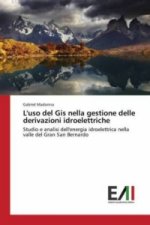 L'uso del Gis nella gestione delle derivazioni idroelettriche
