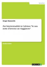 Zur Intertextualitat in Calvinos Se una notte d'inverno un viaggiatore