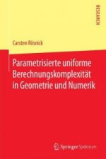 Parametrisierte uniforme Berechnungskomplexitat in Geometrie und Numerik