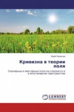 Krivizna v teorii polya