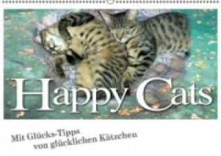 Happy Cats (Wandkalender 2016 DIN A2 quer)