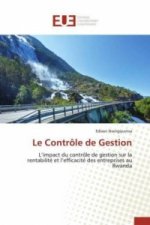 Le Controle de Gestion