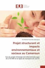 Projet Structurant Et Impacts Environnementaux Et Sociaux Au Cameroun