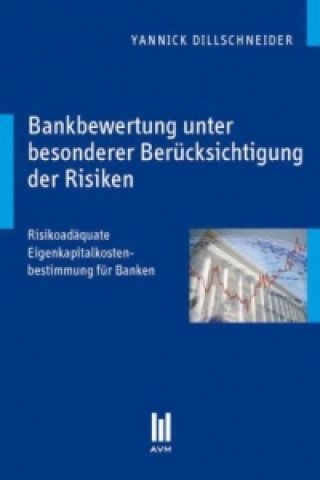 Bankbewertung unter besonderer Berücksichtigung der Risiken