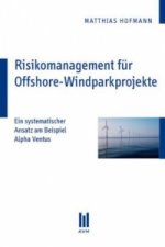 Risikomanagement für Offshore-Windparkprojekte