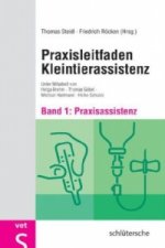 Praxisassistenz