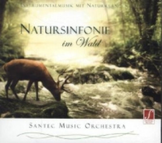 Natursinfonie im Wald, 1 Audio-CD