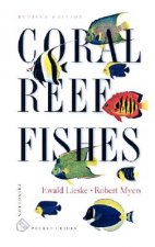 Coral Reef Fishes