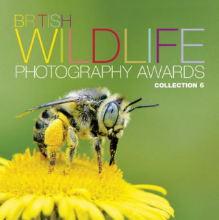 British Wildlife Photography Awards: Collection 6