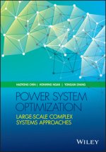 Power System Optimization - Large-scale Complex Systems Approaches